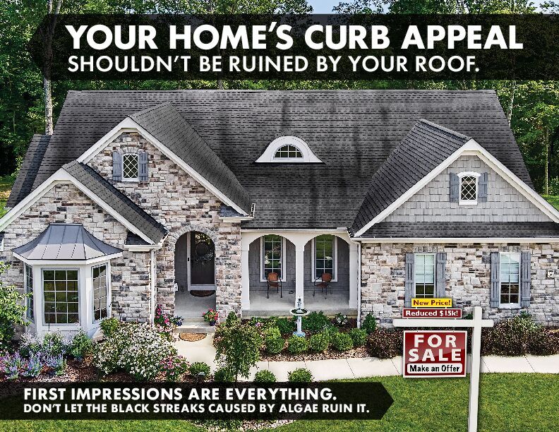 Curb Appeal Flyer - Scotchgard Designer Shingles