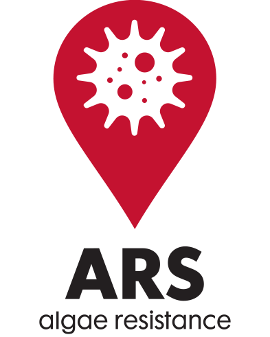 ARS Shingle