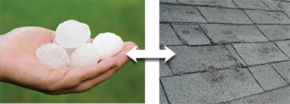 Hail in Hand and Hail Damage on Roof